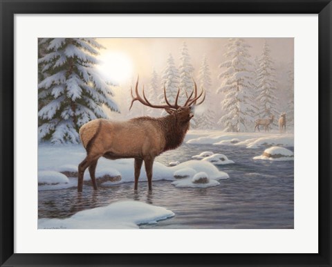 Framed Elk Bugleing Print