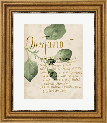 Framed Herb Study III Print