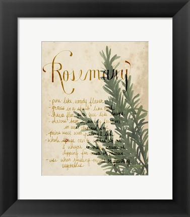 Framed Herb Study IV Print