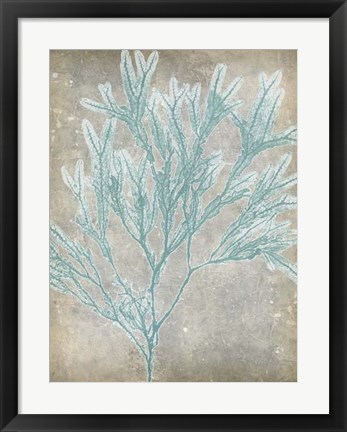 Framed Spa Seaweed I Print