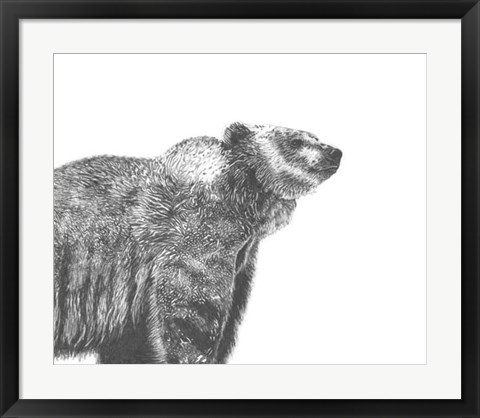 Framed Wildlife Snapshot: Grizzly Print