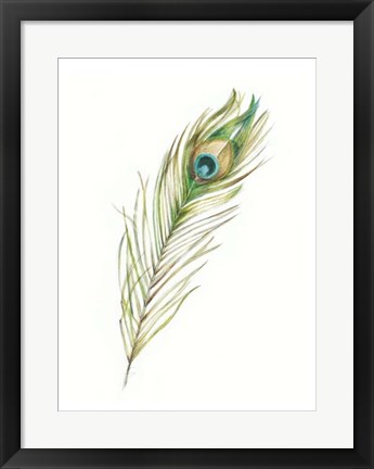 Framed Watercolor Peacock Feather II Print