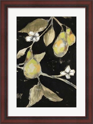 Framed Fresh Pears II Print