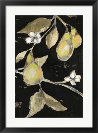 Framed Fresh Pears II Print