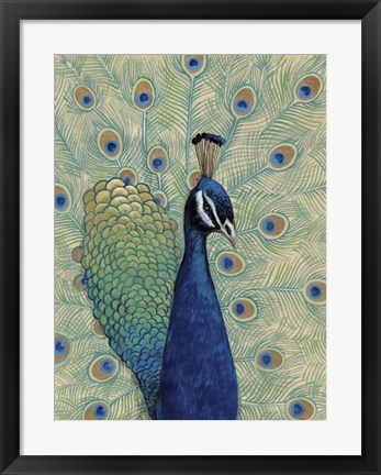 Framed Blue Peacock I Print