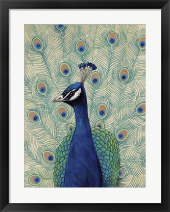 Framed Blue Peacock II Print
