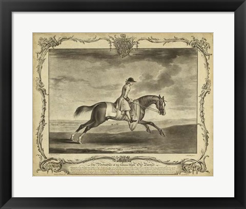 Framed Distinguished Horses I Print