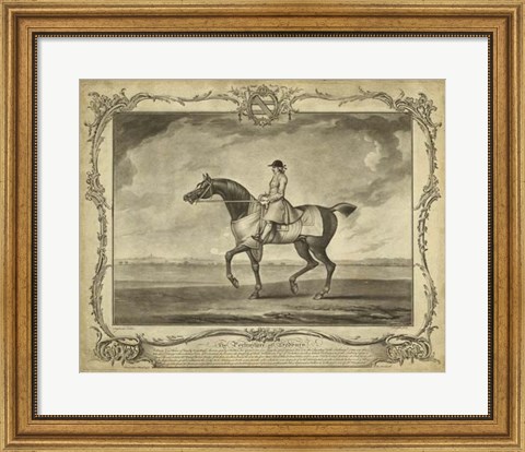Framed Distinguished Horses II Print