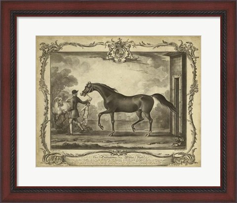 Framed Distinguished Horses IV Print
