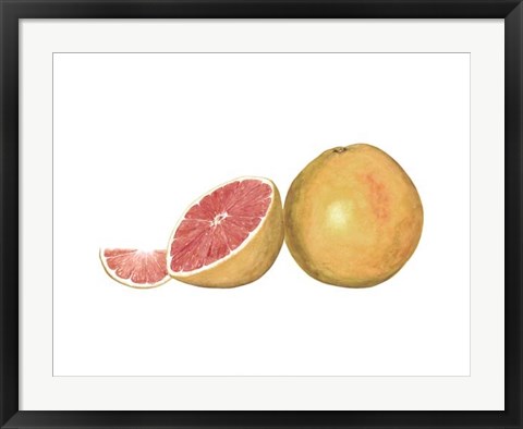 Framed Watercolor Grapefruit Print