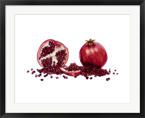 Framed Watercolor Pomegranate Print