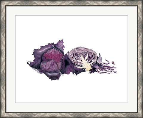Framed Watercolor Purple Cabbage Print