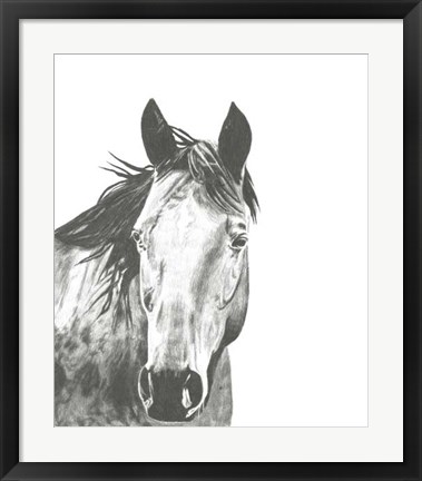 Framed Wildlife Snapshot: Horse I Print