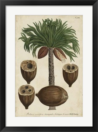Framed Vintage Tropicals I Print