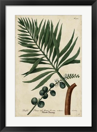 Framed Vintage Tropicals IV Print