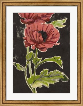 Framed Haloed Poppies II Print