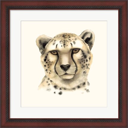 Framed Safari Cat IV Print