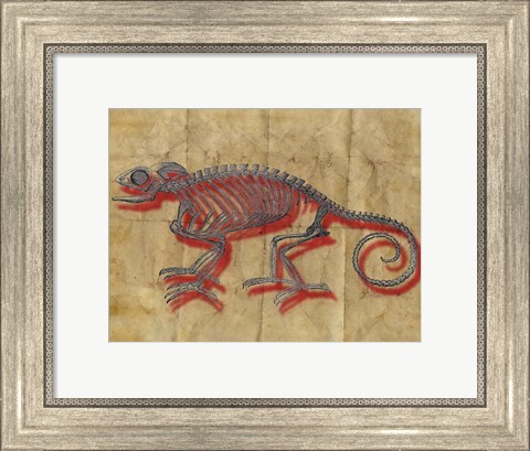 Framed Chameleon II Print