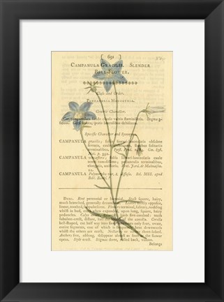 Framed Bell Flower Print
