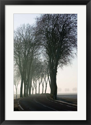 Framed Country Road in Morning Mist Print