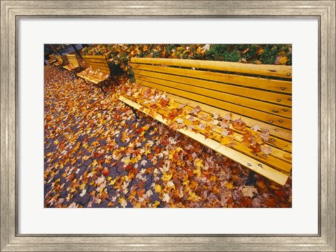 Framed Quebec City Park Bench in Fall Print