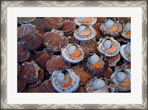 Framed Trouville Fish Market, Calvados, France Print