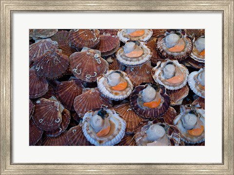 Framed Trouville Fish Market, Calvados, France Print