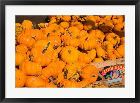 Framed Produce Market, Montreal, Quebec Print