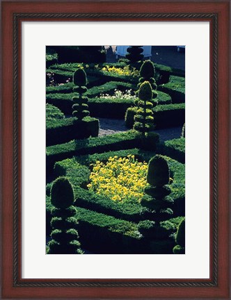 Framed Garden at Villandry Chateau in France Print
