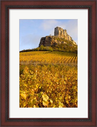 Framed Roche de Solutre above Vineyards, France Print