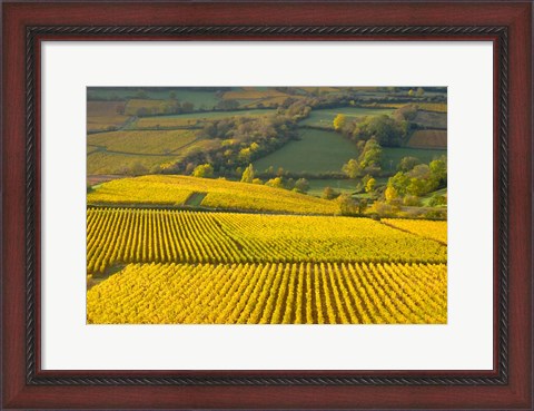 Framed Autumn Morning in Pouilly-Fuiss&#39; Vineyards Print