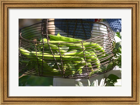 Framed Green Beans in Vegetable Garden Print
