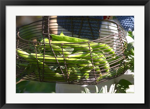 Framed Green Beans in Vegetable Garden Print