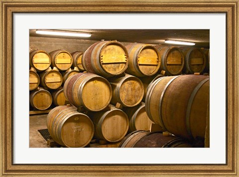 Framed Wine cellar, Alain Voge, France Print