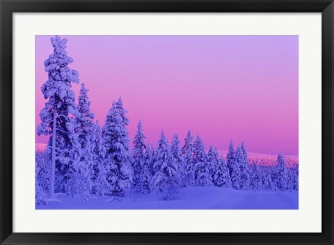 Framed Winter Sunset in Finland Print