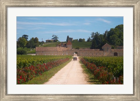 Framed Chateau Grand Mayne and Vineyard Print