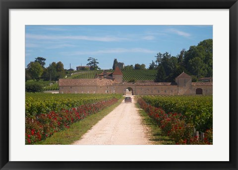 Framed Chateau Grand Mayne and Vineyard Print