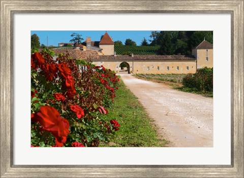 Framed Chateau Grand Mayne Vineyard and Roses Print