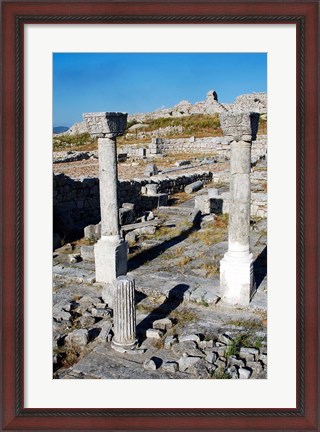 Framed Byllis Archeological Site Print