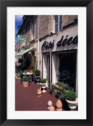 Framed Flower Store, Normandy, France Print