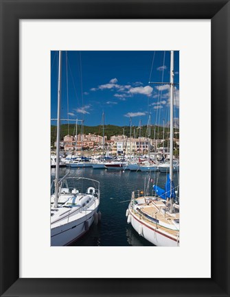 Framed Seashell Coast, Solenzara Print