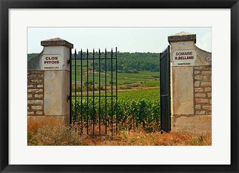 Framed Iron Gate to the Vineyard Clos Pitois Print