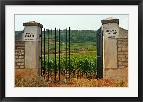 Framed Iron Gate to the Vineyard Clos Pitois Print