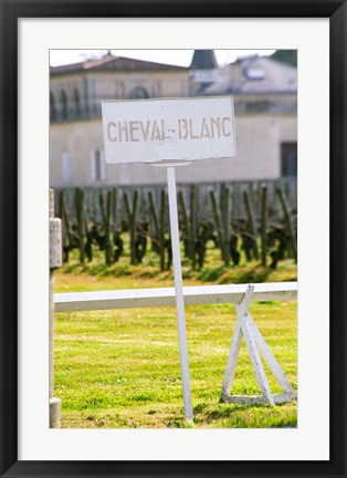 Framed Vineyard and Chateau Cheval Blanc Print