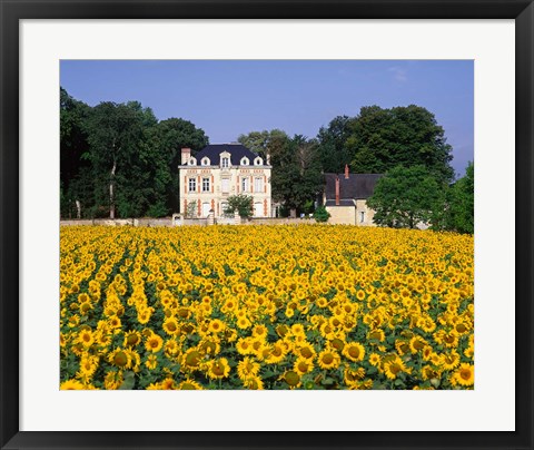 Framed Sunflowers and Chateau, Loire Valley, France Print