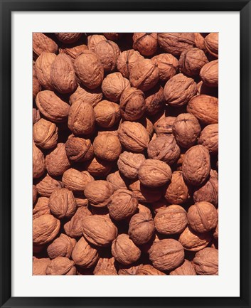 Framed Walnuts, Normandy, France Print