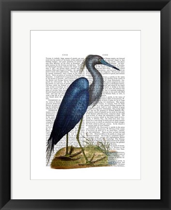 Framed Blue Heron 2 Print