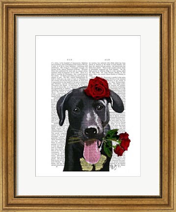 Framed Black Labrador with Roses Print