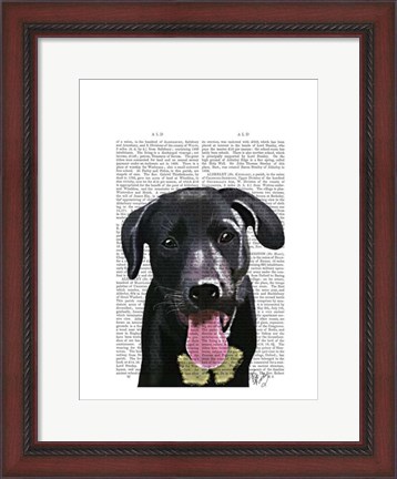 Framed Black Labrador Plain Print