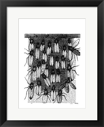 Framed Bee and Honeycomb Print Print